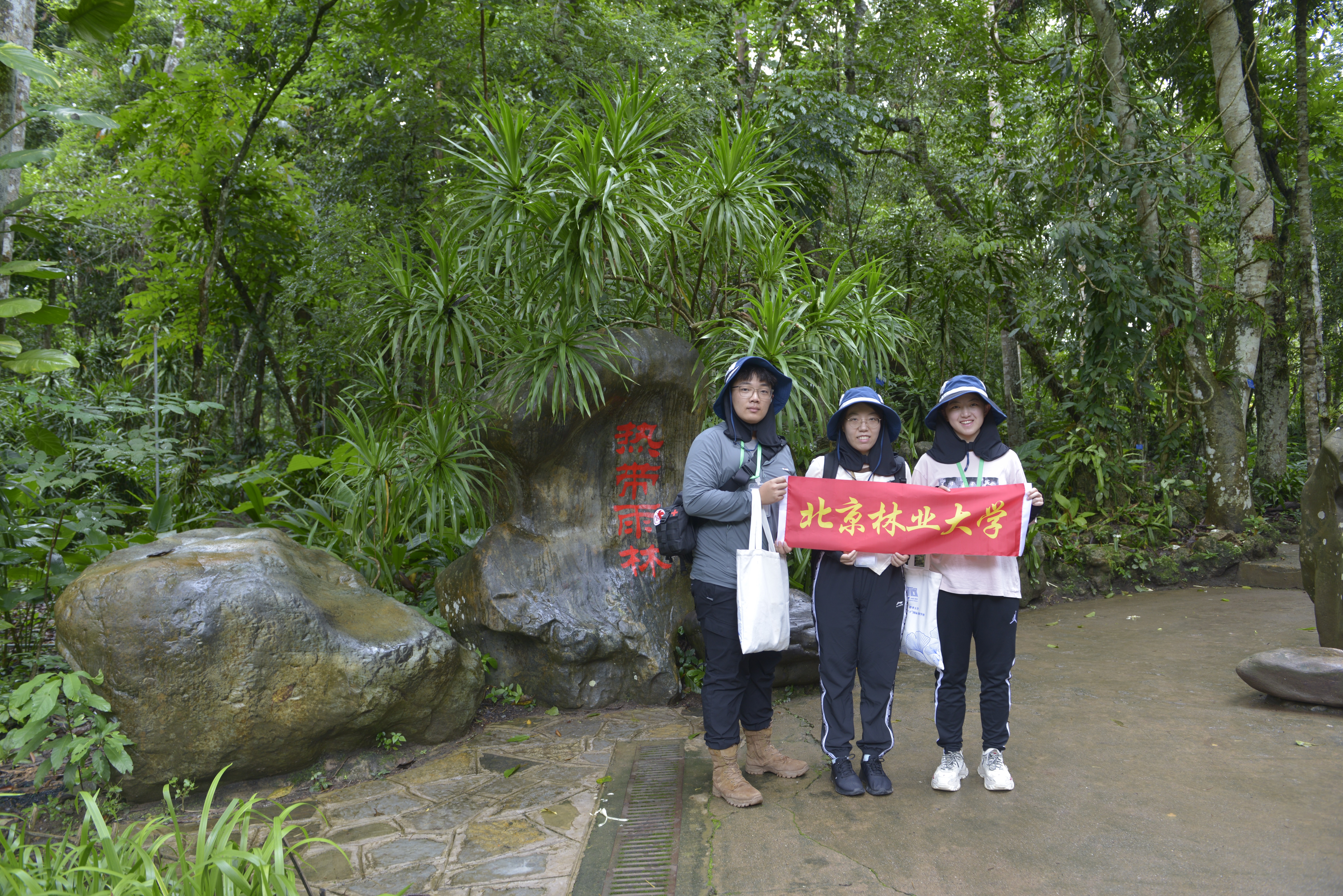 2云大实习-改小.jpg